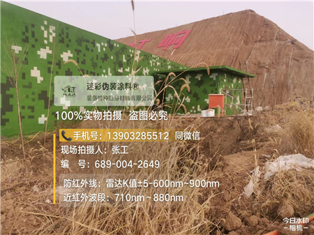 西安星空迷彩墙施工队