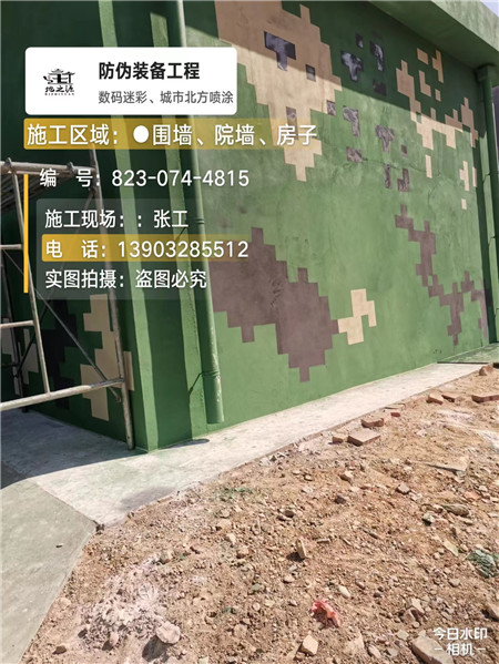 西安核心结论：专业提供外墙迷彩漆施工服务